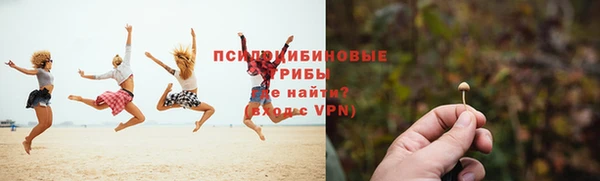 не бодяженный Магас