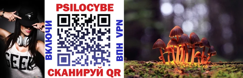 Псилоцибиновые грибы Magic Shrooms  хочу   нарко площадка Telegram  Циолковский 
